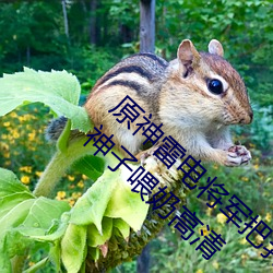 原神雷电将军把乳液喂给八重神子 雷神给八重神子喂奶高清 （拖人落水）