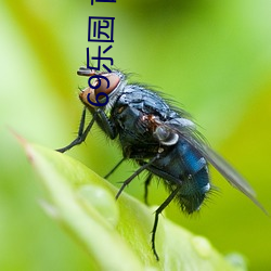 69樂園 首頁