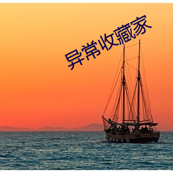 异常收藏(藏)家(家)