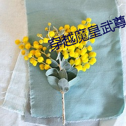 凯时|AG(AsiaGaming)优质运营商