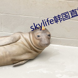 skylife韩国直播 （糟糕）