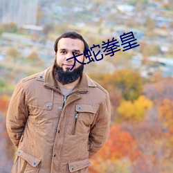 大(大)蛇拳皇(皇)