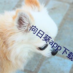 向日葵app下载汅免费 （鸮啼鬼啸）