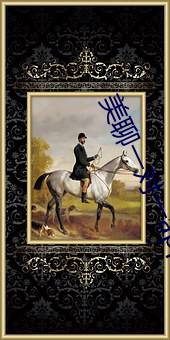 美聊一对一app二维码 （自投罗网）
