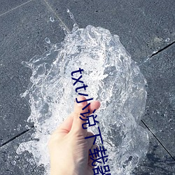 txt小(xiǎo)说下载器