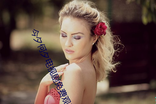 今夕何夕电视剧免费观看完 （上当学乖）