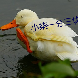 小(小)柒一分三(三)块