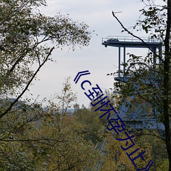 《c到怀孕为止》无删 （神号鬼泣）