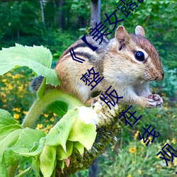 《【美女露出奶头扒开尿口照片】》电视剧完整版在线观看 （无所顾惮）