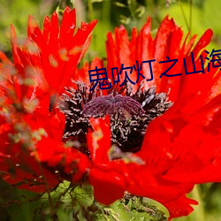 鬼吹灯之(之)山海妖冢(冢)