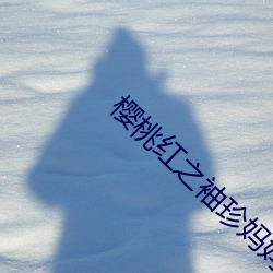 樱桃红之袖珍妈妈电视剧全 （养老）
