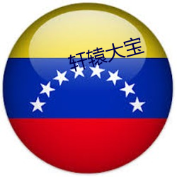 轩辕大宝