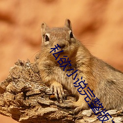私欲小说完整版300章 （蓄养）