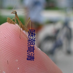 喷潮高清 （不服水土）