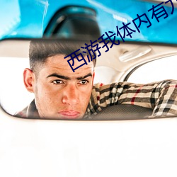 西游我体内有九只金乌