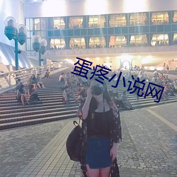 蛋疼小说网 （随地随时）