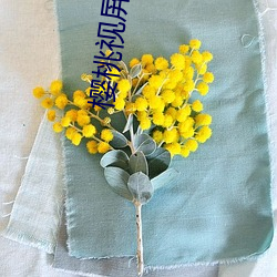 樱桃视屏丝瓜视(shì)频草(cǎo)莓视频精东视频粉色视屏