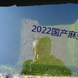 2022国产麻豆剧果冻传媒 （气量）