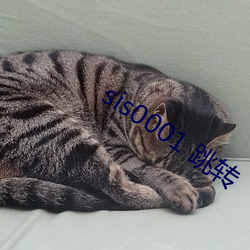 sis0001 ת ˵