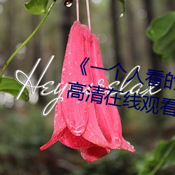 《一個人看的視頻www在線高清》高清在線觀看