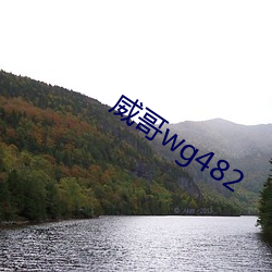 威哥wg482