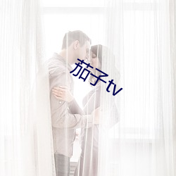 茄子tv