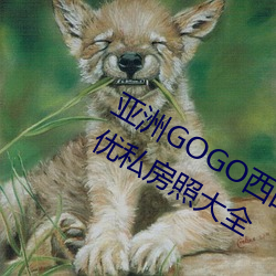 亚洲GOGO西西人体(tǐ)大尺(chǐ)寸(cùn)大胆(dǎn)高清女优私房照大全(quán)