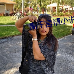高干言情小说