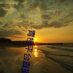青橙平台直播