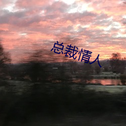 总(zǒng)裁情人