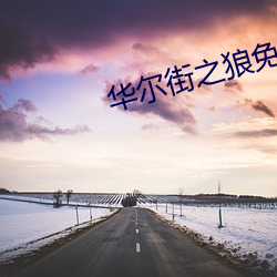 华尔街之狼免费高清资源