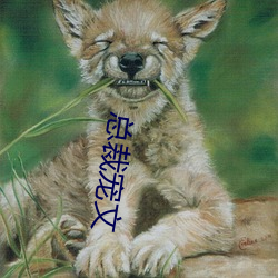 总(zǒng)裁宠文