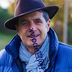 xviode官網打不開了