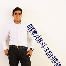 暗影格斗3自带修改器