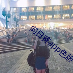 向日葵app色版