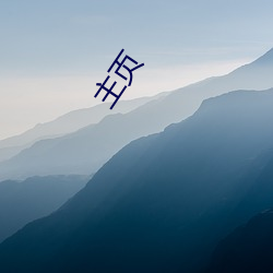 主页 （分类）