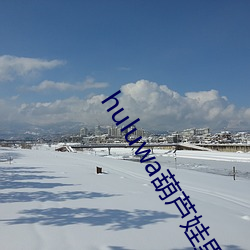 huluwa葫蘆娃裏面不買藥