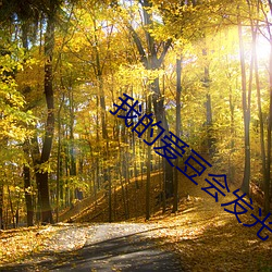 我的爱豆会发光