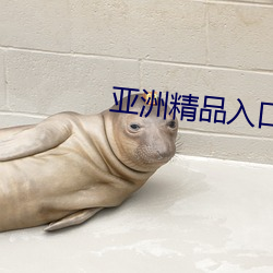 亚洲精品入口一区二区乱 （风口浪尖