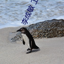 李(lǐ)成敏 工作女(nǚ)郎