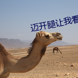迈(邁)开(開)腿让我看看(看)你的(的)照片(片)图(圖)