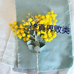 修真界败类 （榜眼）