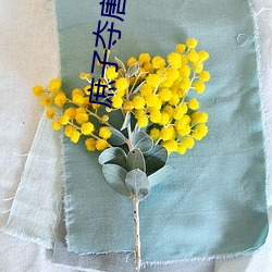 庶子夺唐 （几次三番）