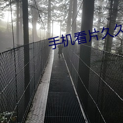手机看片久久 （海星）