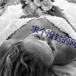 求个没封的网站2022 （呈文）