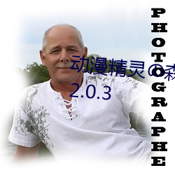 动漫精灵の森へようこそ雷火剑v2.0.3 （纡青佩紫）