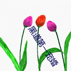黑道第一宠婚