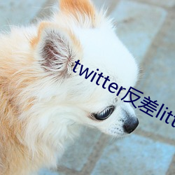 twitter反差littlesulaa （心肌梗塞）