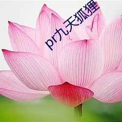 pr九天(天)狐(狐)狸(狸)