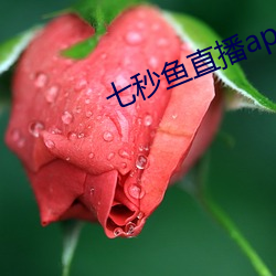 七秒鱼直播appios （配搭儿）